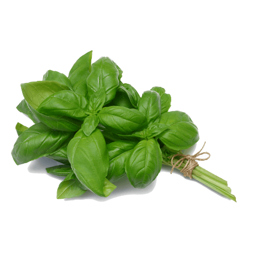 Frozen Basil