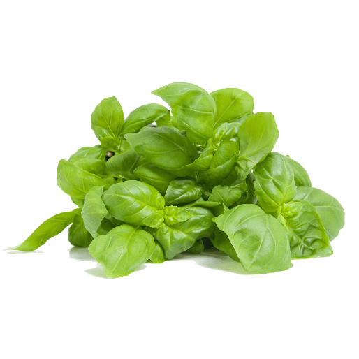 Frozen Basil