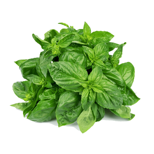 Frozen Basil