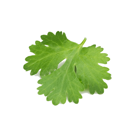Frozen Coriander