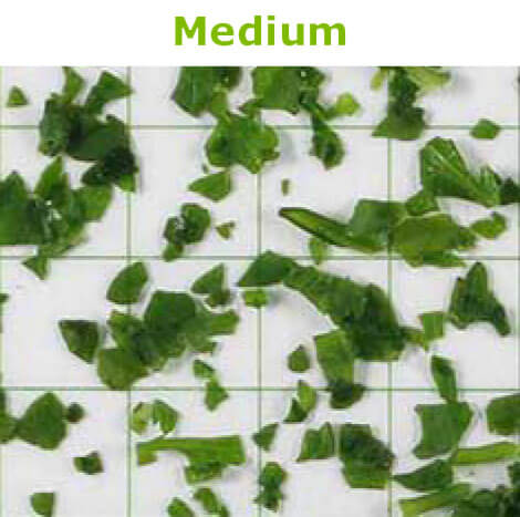 Frozen Coriander