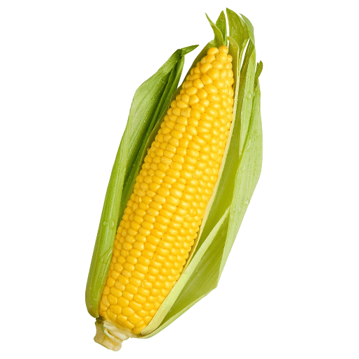 Frozen Corn