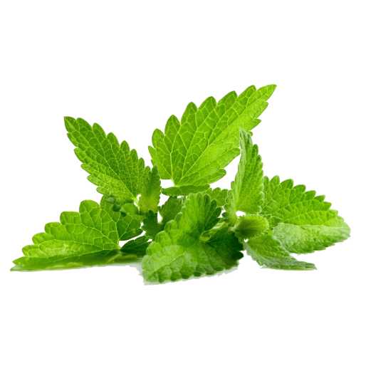 Frozen Spearmint
