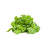 Frozen Basil