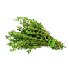 Frozen Thyme