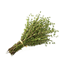 Frozen Thyme